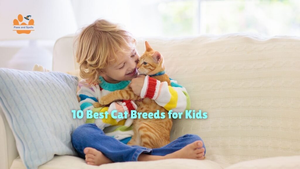 10 Best Cat Breeds for Kids