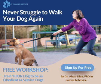 From Stubborn to Obedient: Start Your Free Training Today