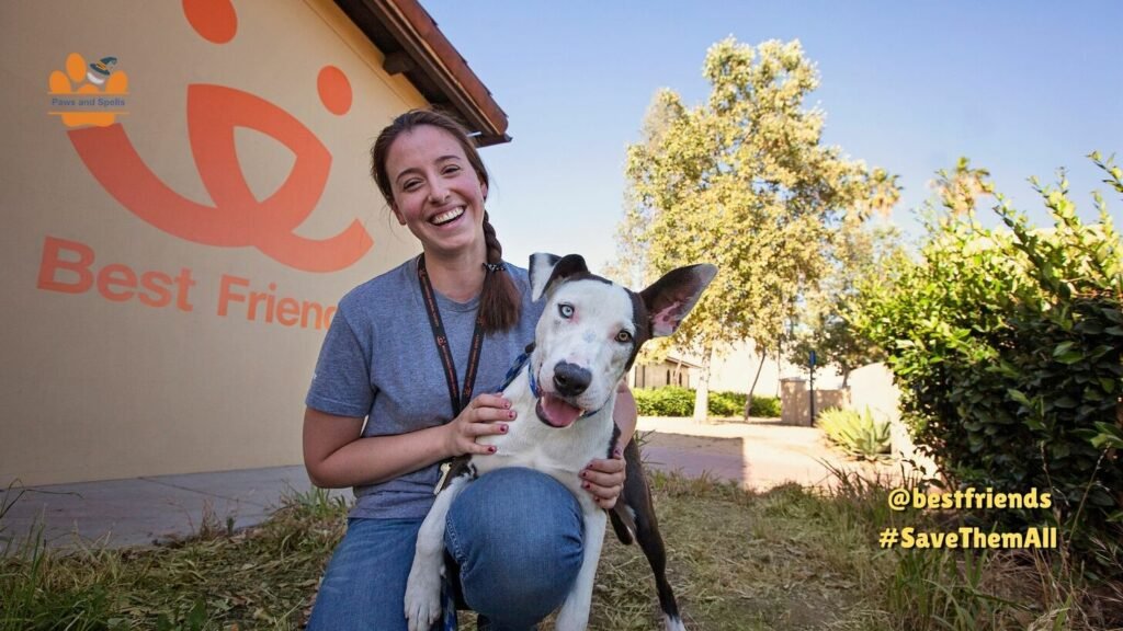 A Best Friends member is caring for a dog at a shelter.  @bestfriends #SaveThemAll