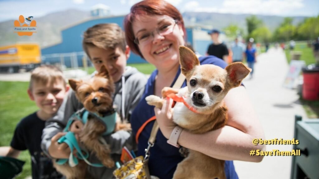 A Best Friends member is caring for a dogs at a shelter.  @bestfriends #SaveThemAll