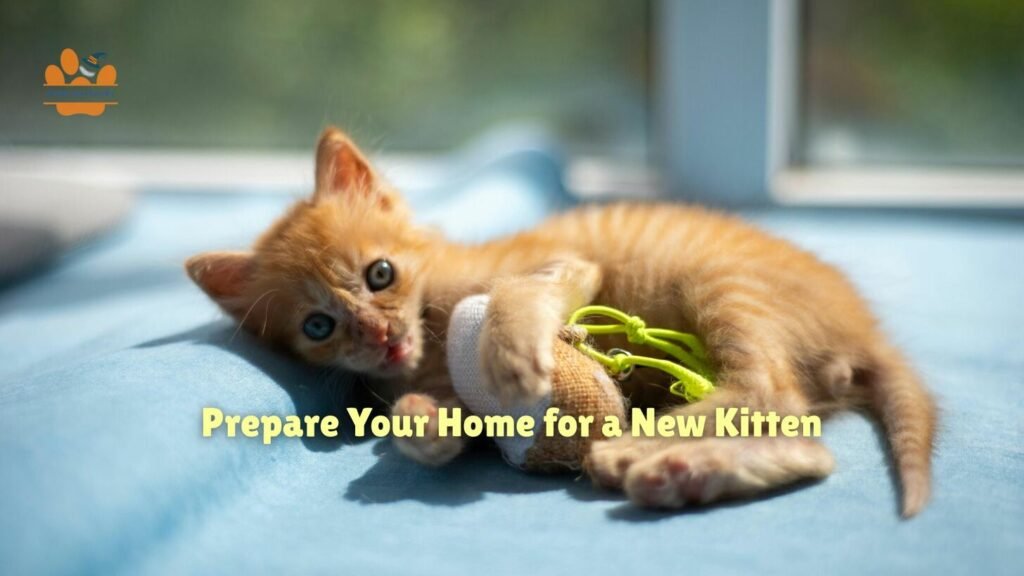 A cat lies on the bed, clutching its toy with longing.