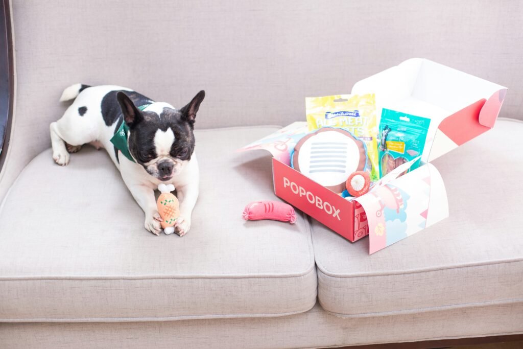 A dog enjoys a popobox gift. A dog enjoys a popobox gift.