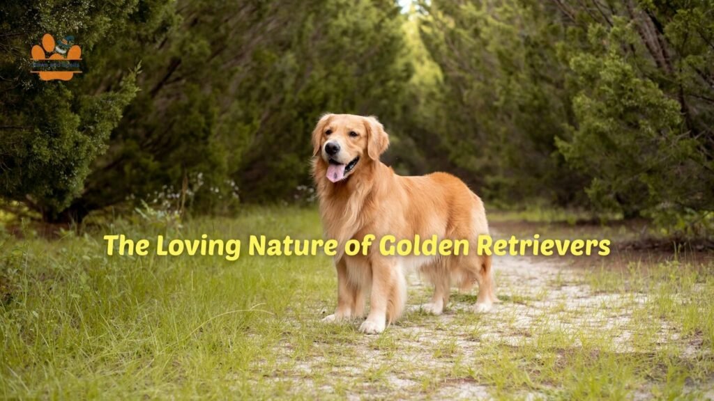 A golden retriever stands in a park, looking cheerful and ene