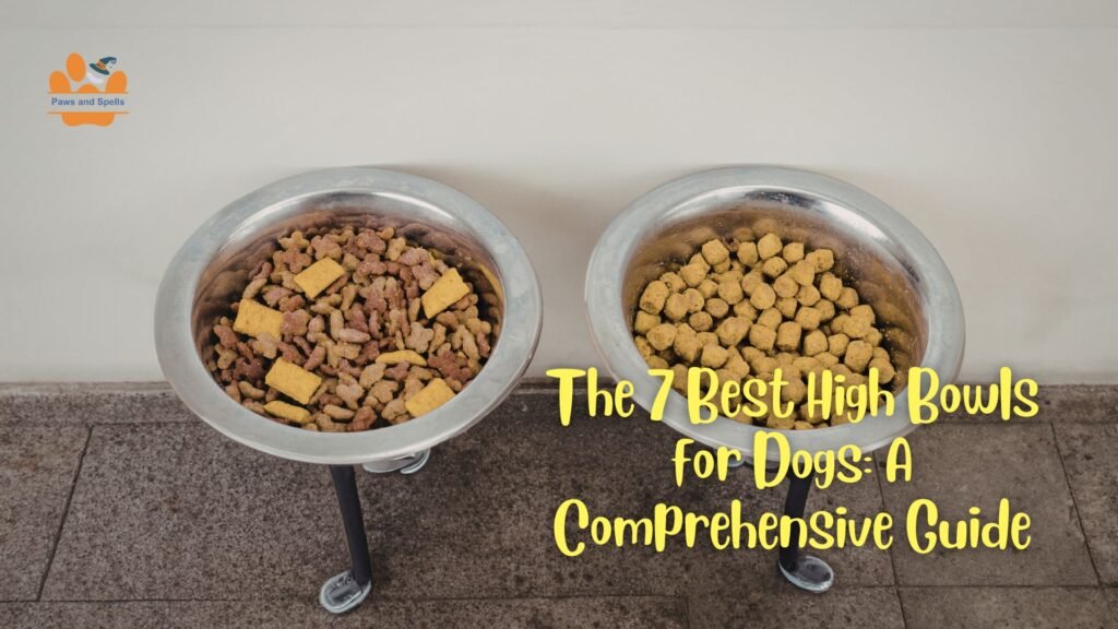 The 7 Best High Bowls for Dogs: A Comprehensive Guide