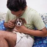 man in green crew neck t-shirt holding brown and white puppy