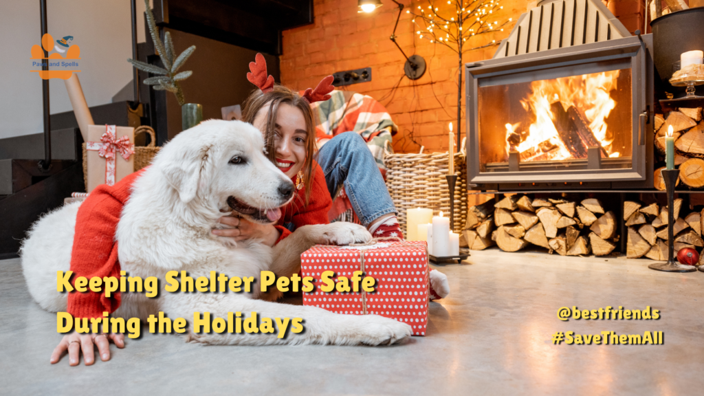 Holiday Pet Safety