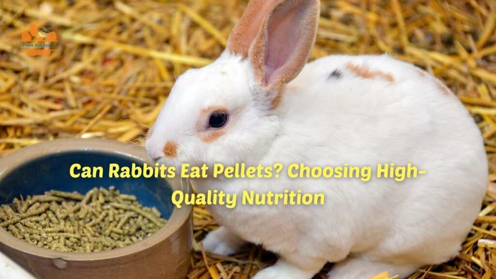 Best rabbit pellets