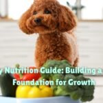 Puppy Nutrition