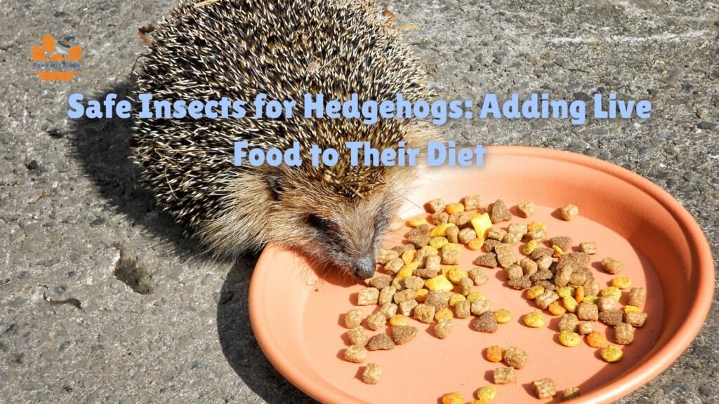 Safe insects for hedgehogs