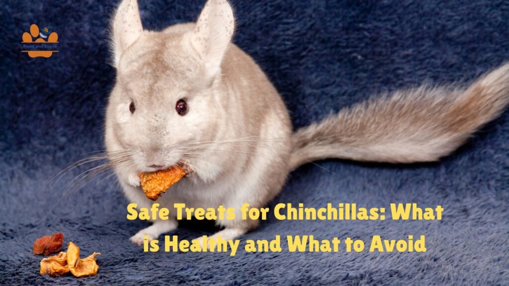 Safe treats for chinchillas