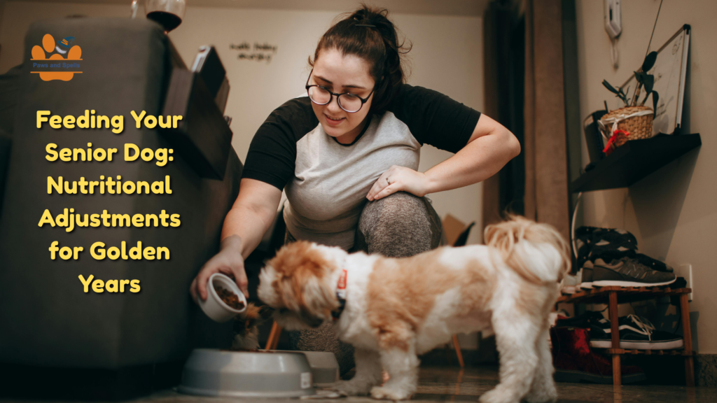 Senior dog nutritional needs