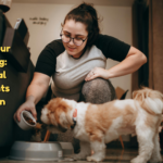 Senior dog nutritional needs