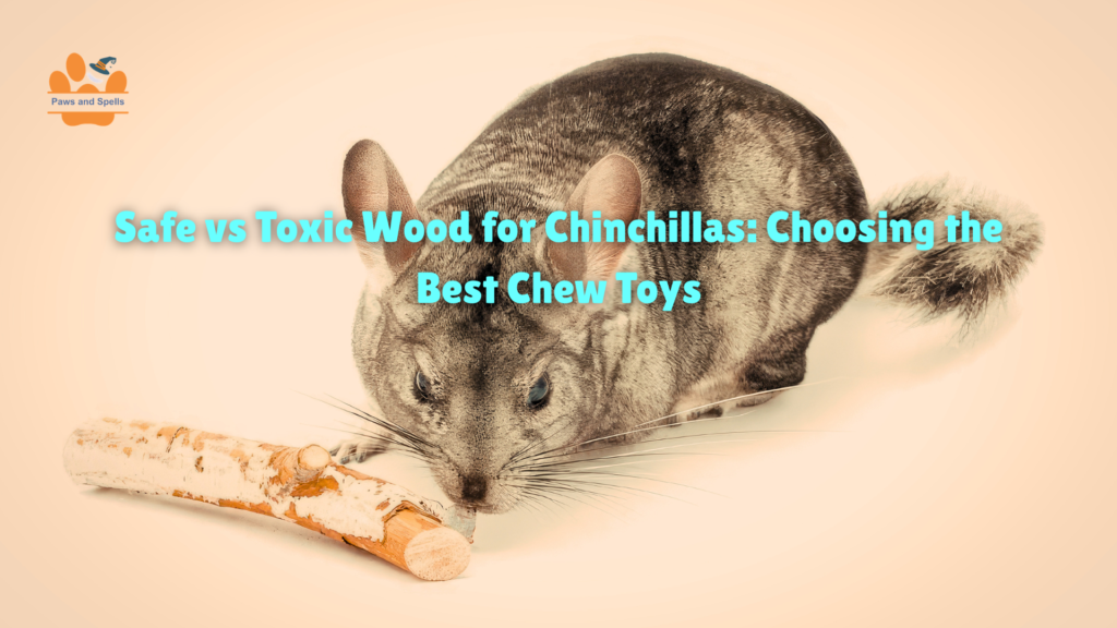Safe wood for chinchillas