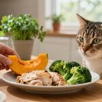 Cat kidney health diet