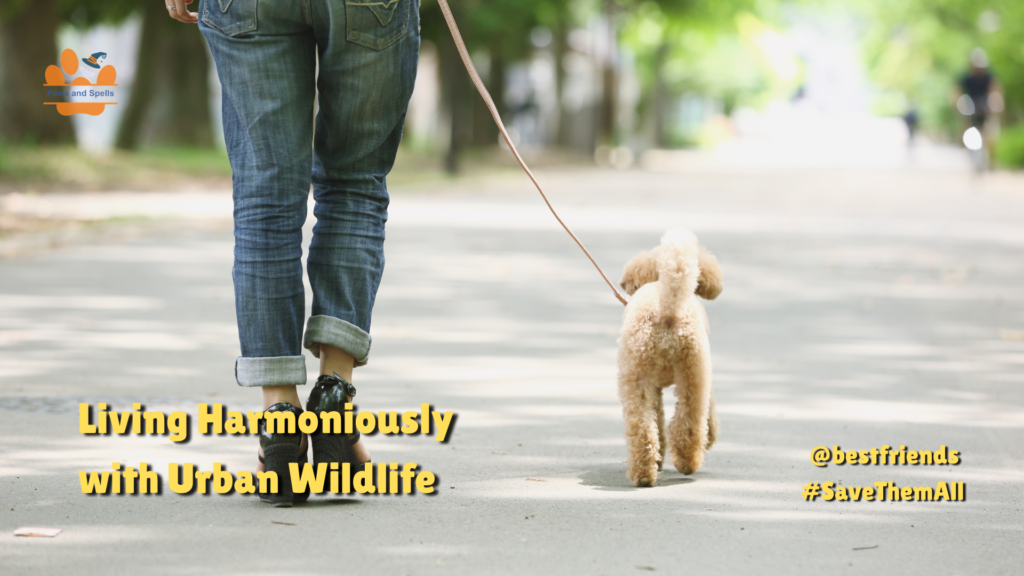 Wildlife Coexistence