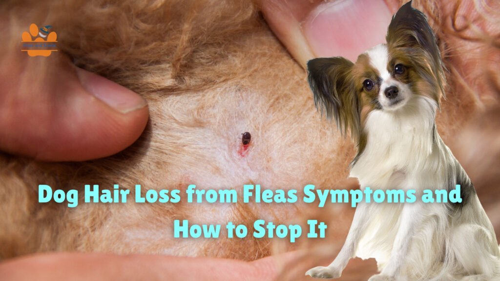 Dog Hair Loss from Fleas