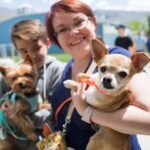 Shelter Dogs and Dog Parks