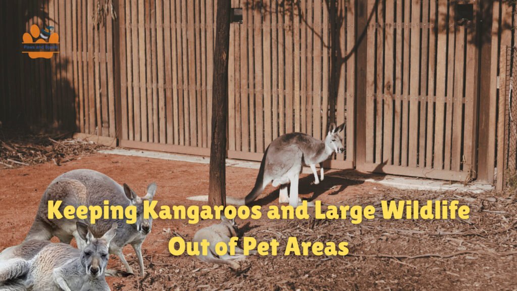 Keeping Kangaroos and Large Wildlife Out of Pet Areas