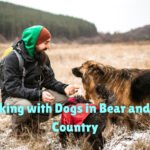 Safe Hiking with Dogs in Bear and Moose Country