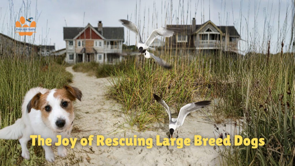 The Joy of Rescuing Large Breed Dogs