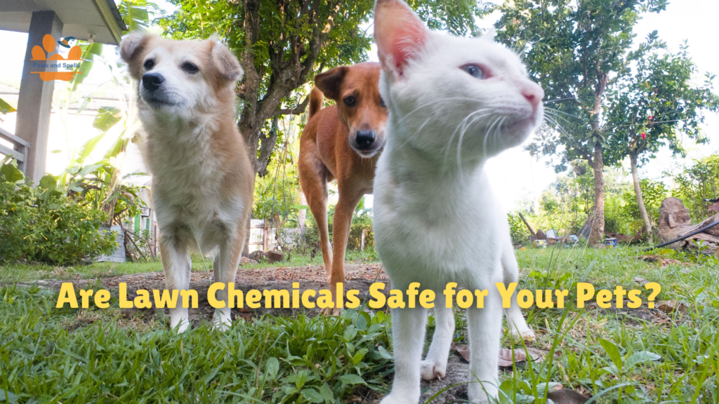 Are Lawn Chemicals Safe for Your Pets