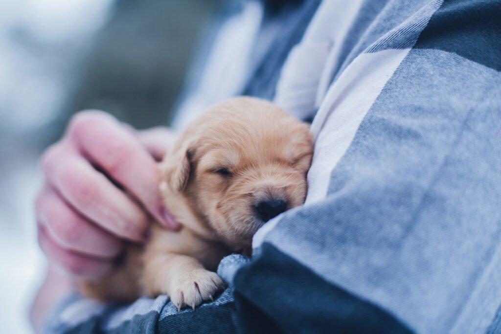 common puppy health problems
