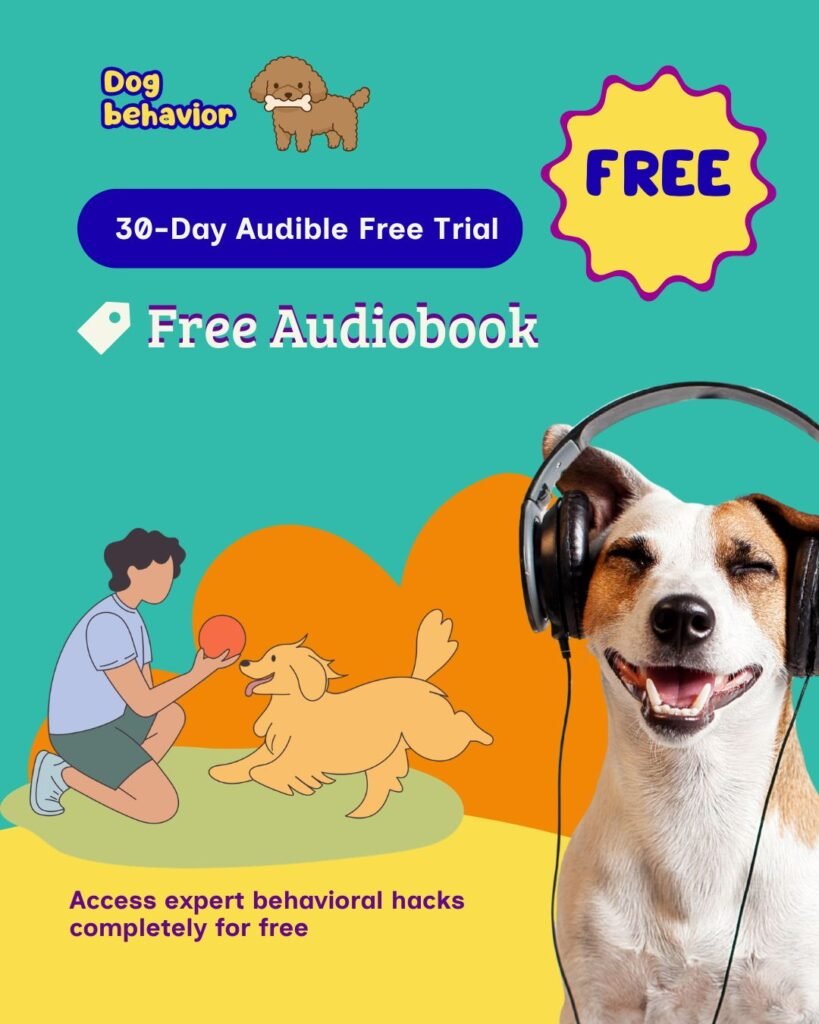 Dog behavior