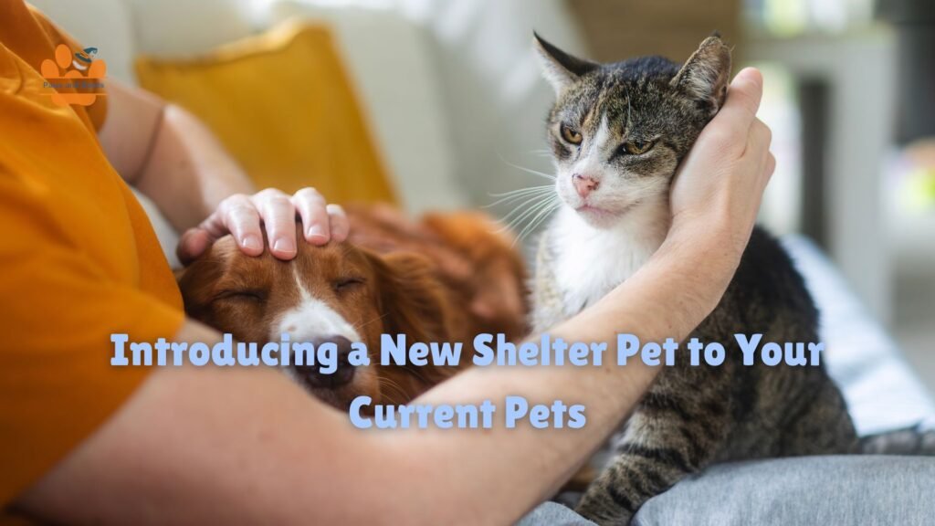 Multi-Pet Homes