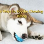 Safe Ways to Soothe Chewing and Biting