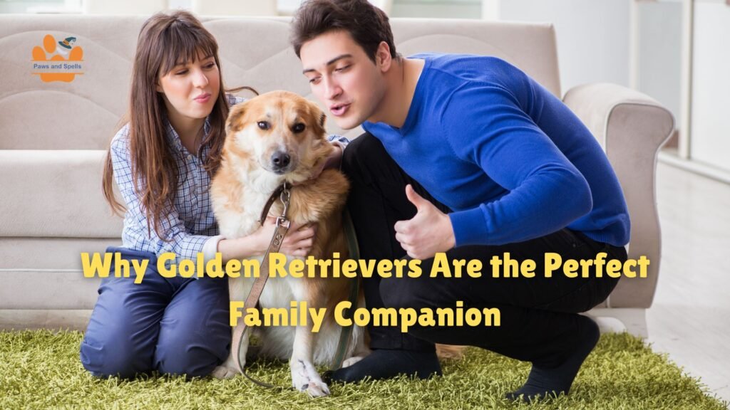 Bacterial Infections in Dogs