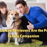Bacterial Infections in Dogs