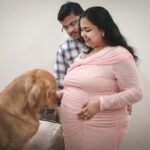 can dogs sense pregnancy