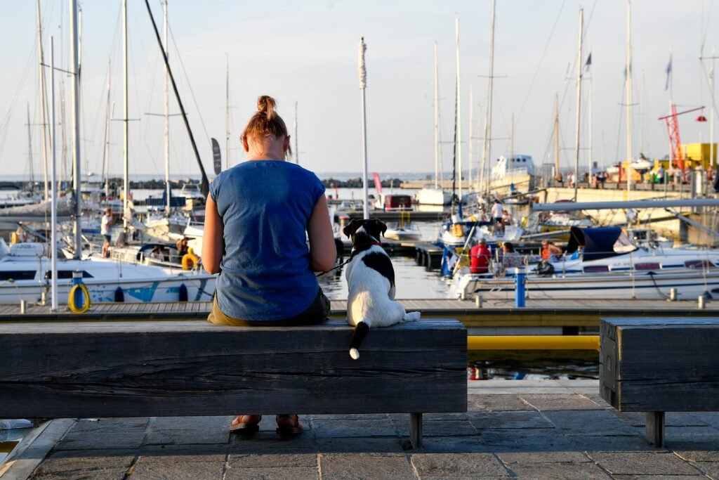 dog-friendly attractions