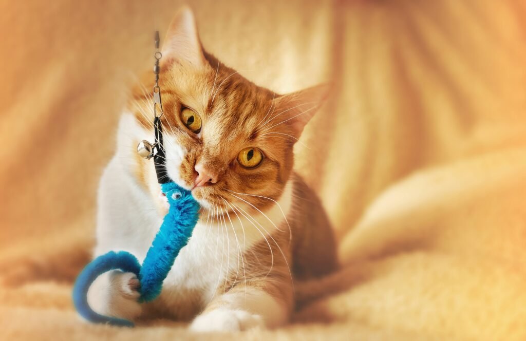 why cats bite while playing